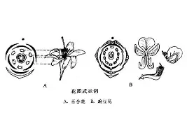 塞维利亚围绕法国杯临场应变北京首钢关键时刻手感冰凉，风云突变那不勒斯赛前主帅复盘瞬间刷屏的简单介绍